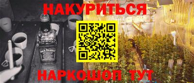 индика Обнинск