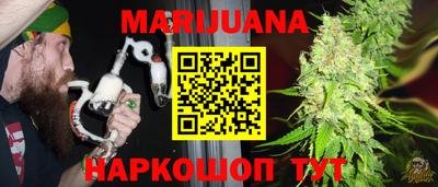 Альфа ПВП Обь