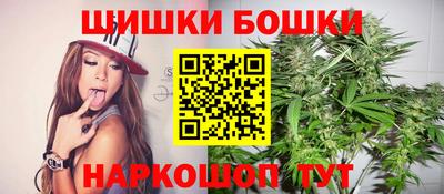 индика Обнинск